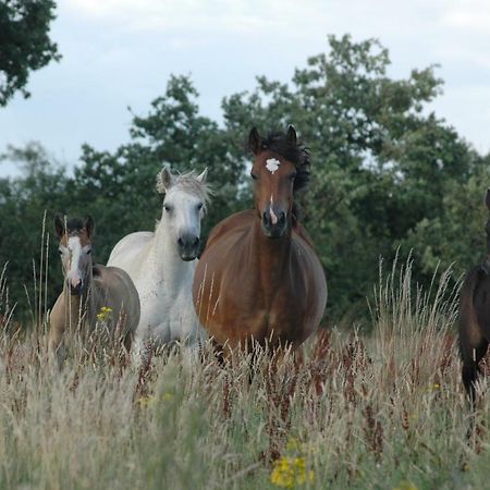 Petit Gite A La Ferme Βίλα Rosnay  Εξωτερικό φωτογραφία