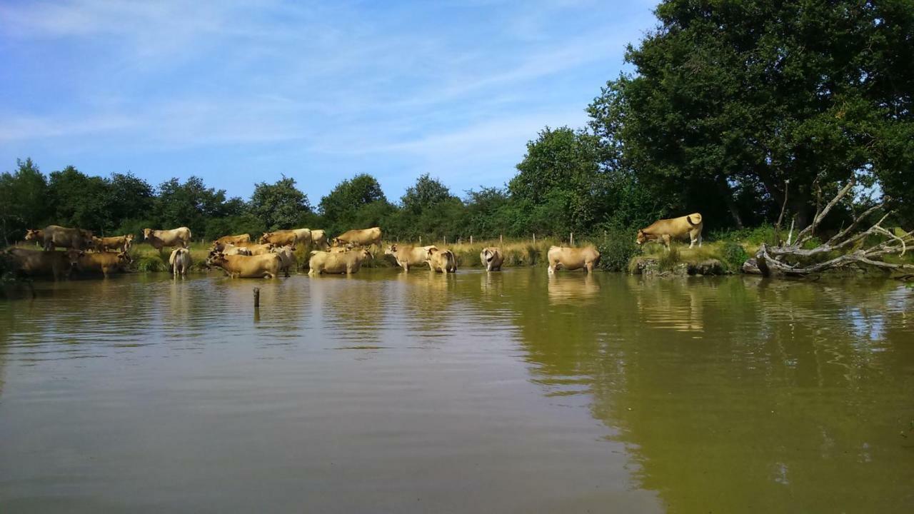 Petit Gite A La Ferme Βίλα Rosnay  Εξωτερικό φωτογραφία