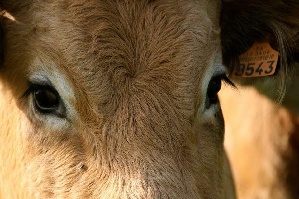 Petit Gite A La Ferme Βίλα Rosnay  Εξωτερικό φωτογραφία